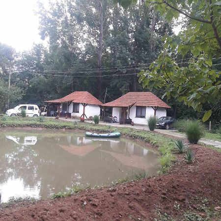 Sljivik Guest House Nis Bagian luar foto