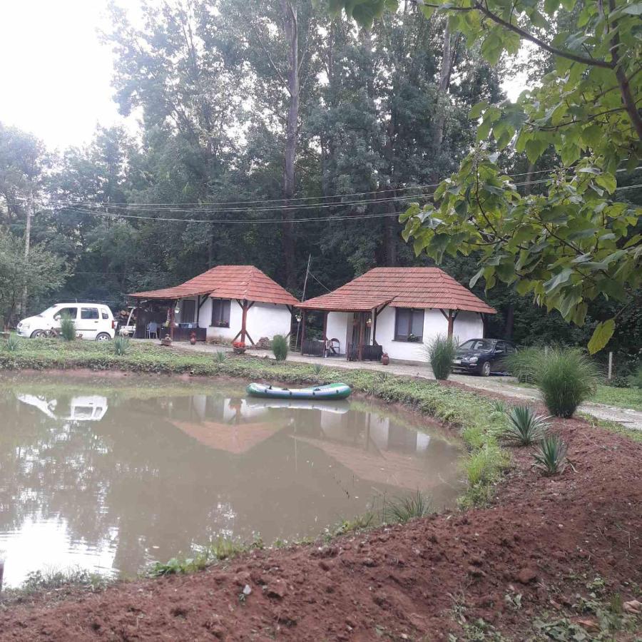 Sljivik Guest House Nis Bagian luar foto