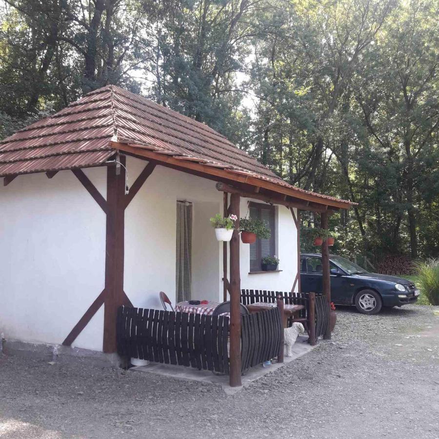 Sljivik Guest House Nis Bagian luar foto