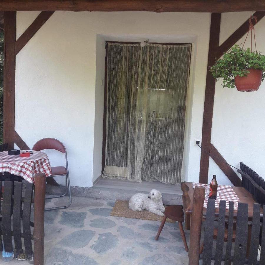 Sljivik Guest House Nis Bagian luar foto